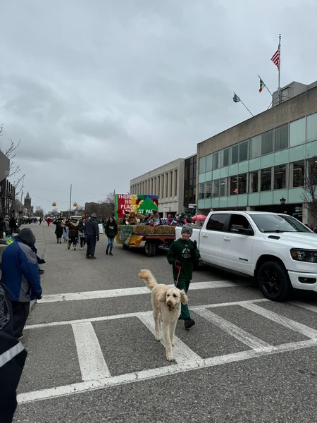 st-pat’s-2024-parade-photos (165)